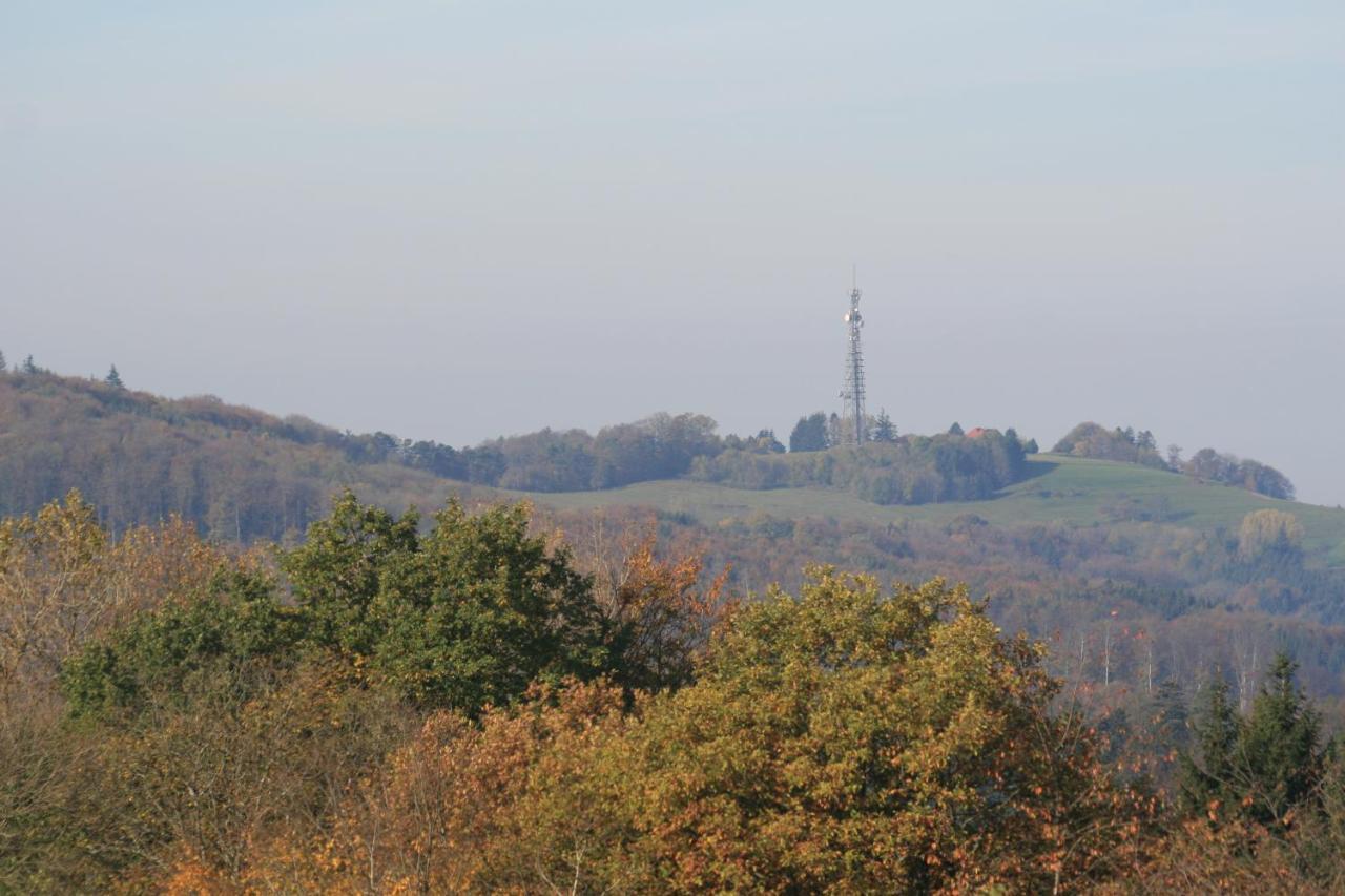 Fewo Im Naturpark Spiegelberg Exterior photo